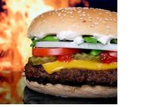 Hamburger--1-spotlisting
