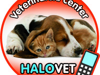 Logo_halovet2-spotlisting