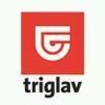 Triglav_logo_vert-100-tiny