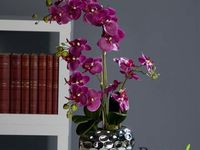Aranma-umetne-orhideje-vijoli%c4%8dne-barve-v-kerami%c4%8dni-vazi-55-cm-spotlisting