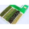 Kalilnik_easygreen_7-tiny