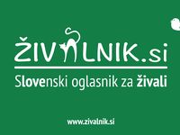 Zivalnik.si_-_slovenski_oglasnik_za_zivali-spotlisting