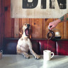 Coffee_rrbar_zalec-tiny